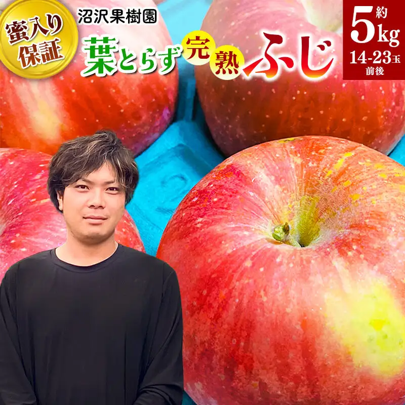 【先行受付】11月下旬より発送 《蜜ライトで蜜入り保証！》葉とらず完熟ふじ 約5kg りんご