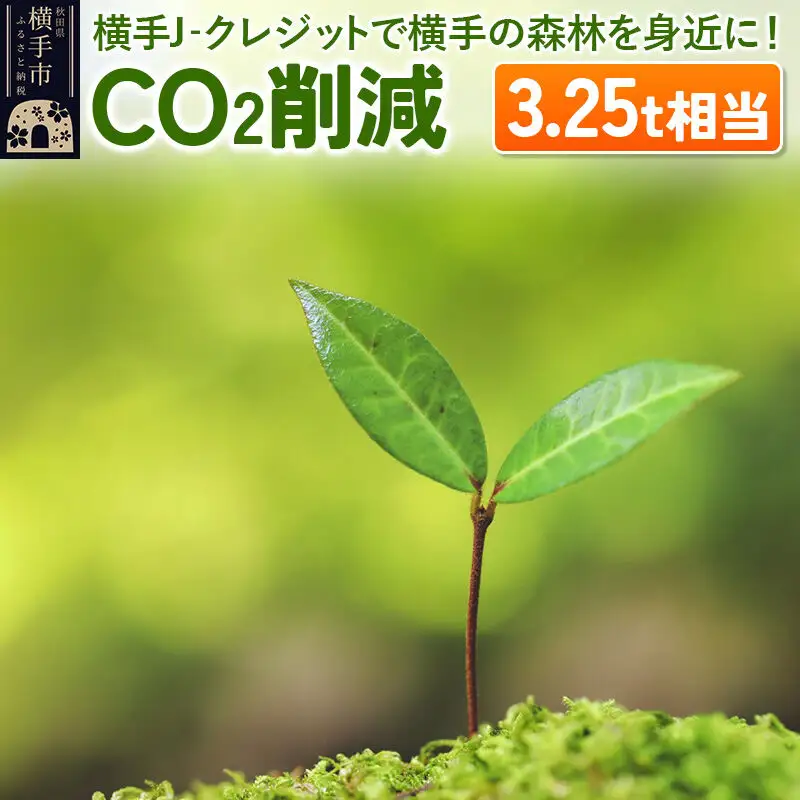 横手J‐クレジットで横手の森林を身近に! CO2削減 3.25t相当