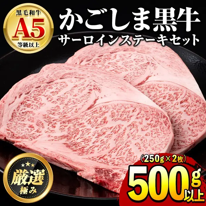 【30963】鹿児島県産黒毛和牛！A5等級サーロインステーキ(計500g・約250g×2枚) 国産 牛肉 肉 冷凍 サーロイン 鹿児島 ステーキ 焼肉 BBQ バーベキュー 【前田畜産たかしや】