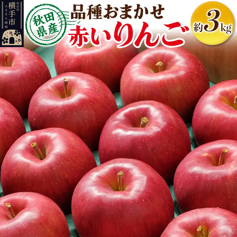 【先行受付】10月上旬より発送 りんご 品種おまかせ 季節の赤いりんご 約3kg（早生ふじ(やたか)、シナノスイート、早生ふじ(こまちふじ)、サンふじ）