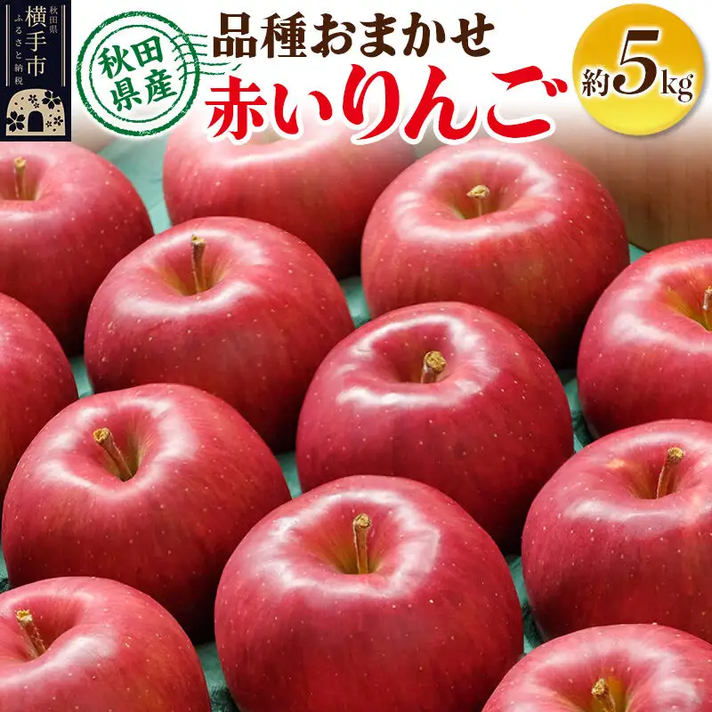 【先行受付】10月上旬より発送 りんご 品種おまかせ 季節の赤いりんご 約5kg（早生ふじ(やたか)、シナノスイート、早生ふじ(こまちふじ)、サンふじ）