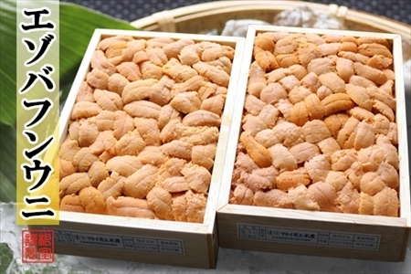 エゾバフンウニバラ詰め140～150g×2折[11月上旬以降発送] F-71012