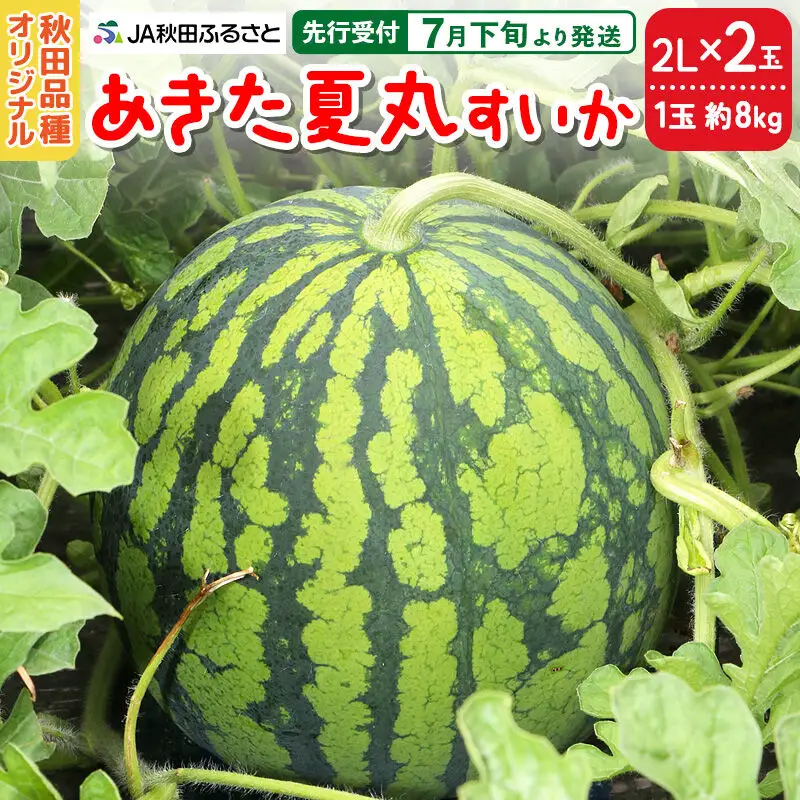 【先行受付】7月下旬より発送 秋田県横手市産 あきた夏丸すいか 2Lサイズ×2玉（1玉約8kg）