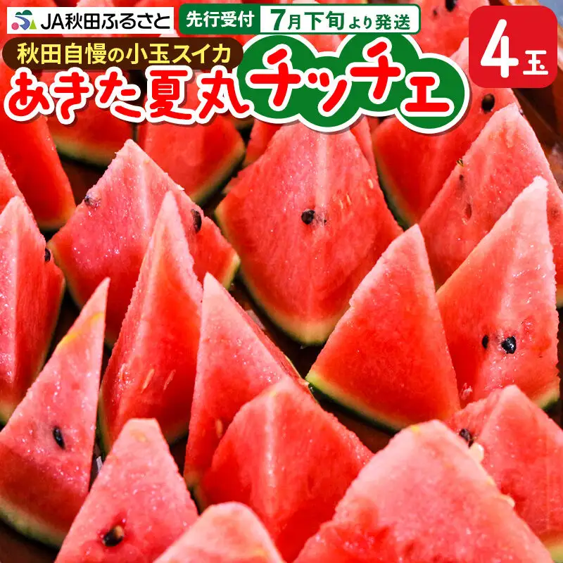 【先行受付】7月下旬より発送 秋田県横手市産 小玉すいか あきた夏丸チッチェ 約3kg×4玉セット
