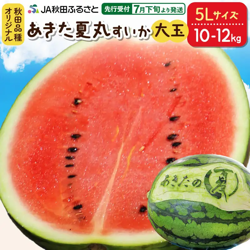 【先行受付】7月下旬より発送 秋田県横手市産 あきた夏丸すいか 5Lサイズ×1玉（約10～12kg）化粧箱入り