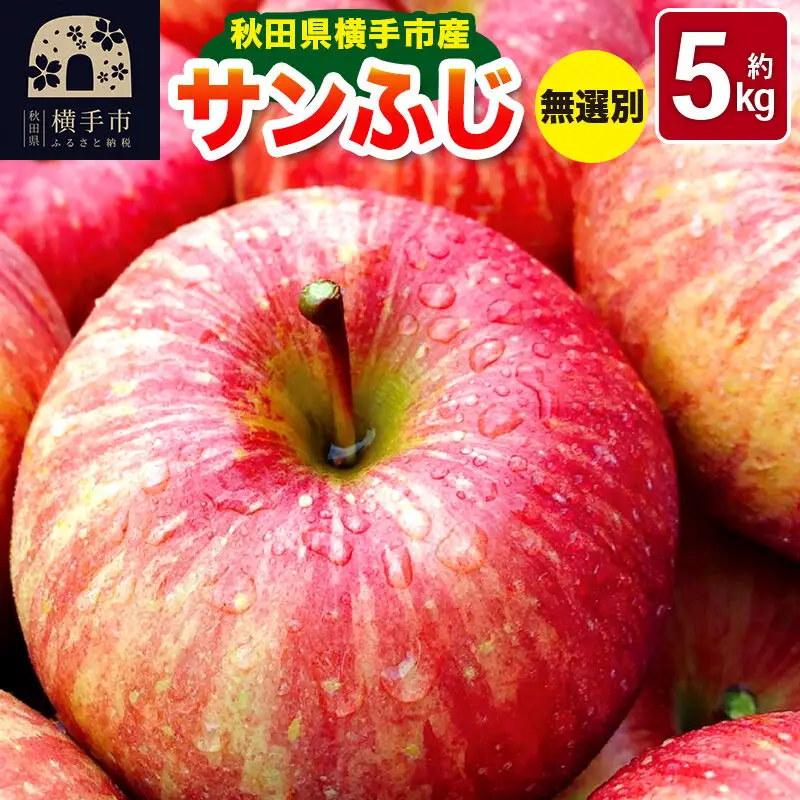 《先行受付！12月上旬より順次発送》秋田県横手市産 サンふじ りんご 無選別 約5kg