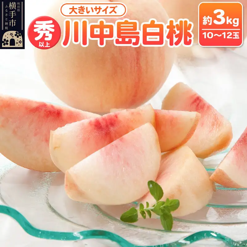 【先行受付】8月下旬より発送 横手市増田産の桃 川中島白桃 約3kg 秀以上 10～12玉 大きいサイズ