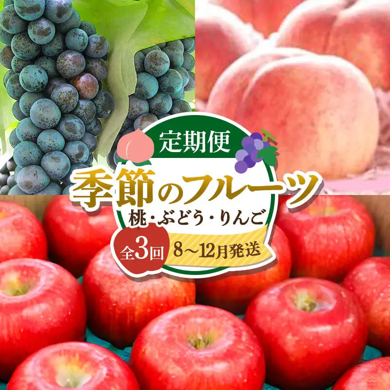 【先行受付】《年3回お届け》横手市産 季節のフルーツ定期便《8月～12月お届け》（桃・ぶどう・りんご）