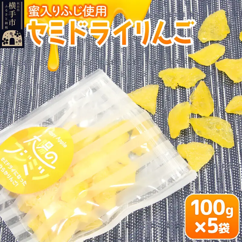 セミドライりんご「太陽のフジミツ」100g×5袋
