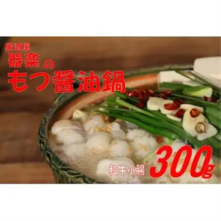 器楽のもつ醤油鍋セット(大牟田市)_肉 もつ鍋 牛肉 鍋 鍋セット  惣菜・加工品 肉 鍋 なべ ナベ_【配送不可地域：離島】【1523431】
