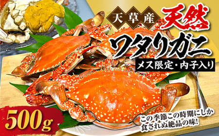 ＜ R8年熊本地震復興支援 ＞天草産 天然ワタリガニ メス限定内子入り 500g 2杯 渡り蟹 ワタリガニ カニ 蟹 天草名物 甲殻類 魚介 渡蟹 グルメ 冷凍 内子 内子入り