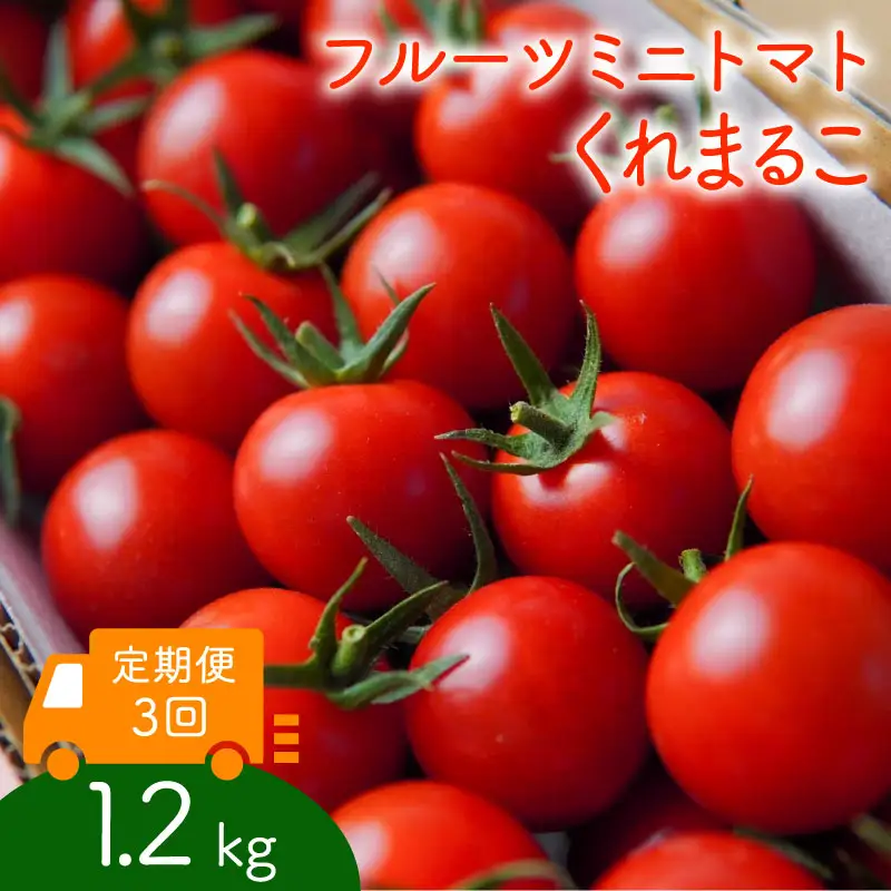 【定期便全3回】 フルーツミニトマト くれまるこ 1.2kg ミニトマト