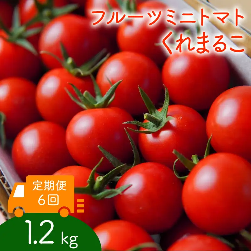 【定期便全6回】 フルーツミニトマト くれまるこ 1.2kg ミニトマト