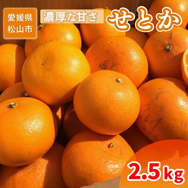 【せとか】【2027年2月中旬頃から順次発送】 家庭用 せとか 2.5kg 【SU0121】