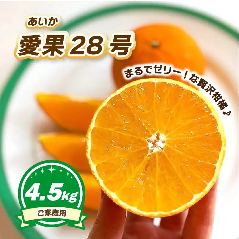 【2026年11月下旬頃から順次発送】ご家庭用 愛果28号 (紅まどんな と同品種) 約4.5kg ハウス栽培  | あいか 28号 果物 みかん 柑橘 宮本農園 愛媛県 松山市【MN0133】
