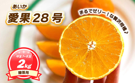 【2026年11月下旬頃から順次発送】 贈答用 愛果28号 (紅まどんな と同品種) 約2kg 中玉7〜8玉入り ハウス栽培  | あいか 28号 果物 みかん 柑橘 宮本農園 愛媛県 松山市 【MN0152】