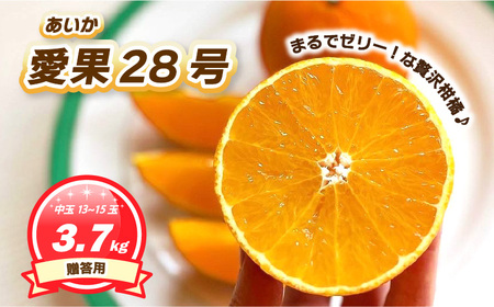 【2026年11月下旬頃から順次発送】 贈答用 愛果28号 (紅まどんな と同品種) 約3.7kg  中玉13～15玉入り ハウス栽培 | あいか28号 果物 みかん 柑橘 宮本農園 愛媛県 松山市 【MN0172】