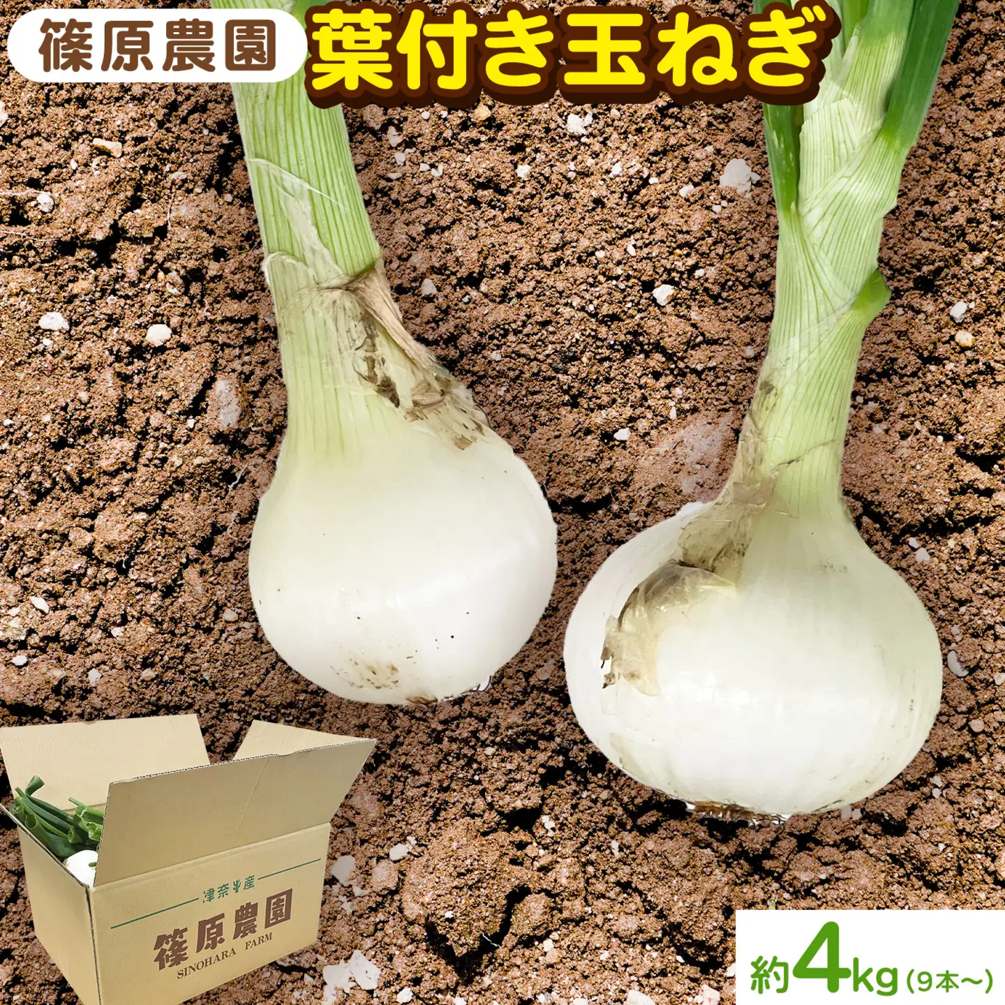 玉ねぎ 葉付き 4kg 玉ねぎ