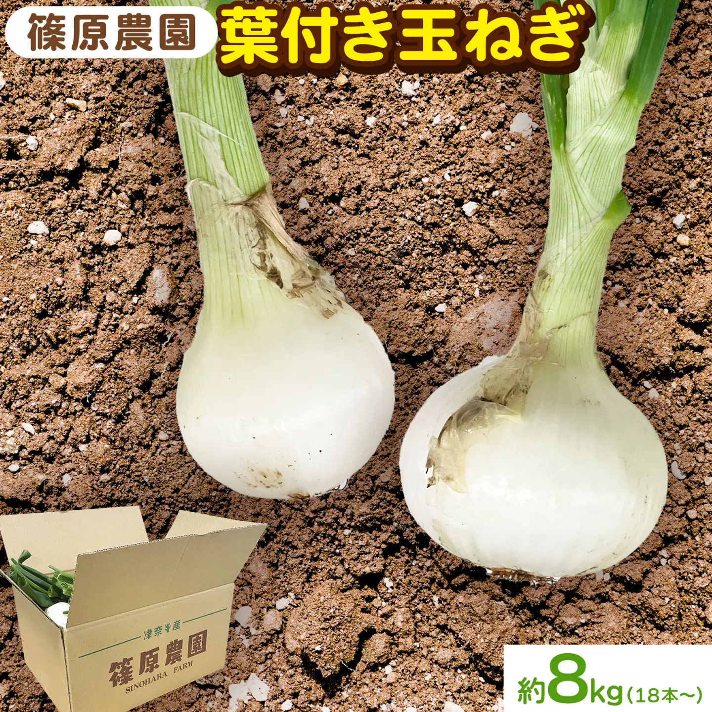 玉ねぎ 葉付き 8kg 玉ねぎ