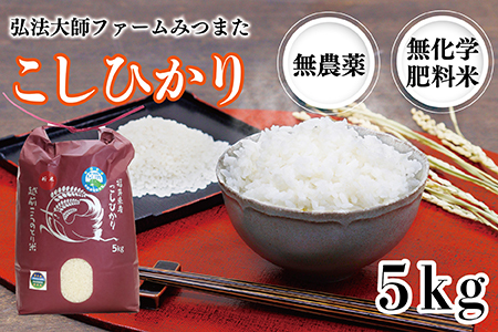 令和6年度産 こしひかり 5㎏（無農薬 無化学肥料）