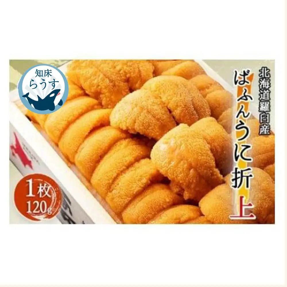 ＜先行受付＞＜27年1月～6月内発送＞エゾバフンウニ（上）折うに 120g×1枚