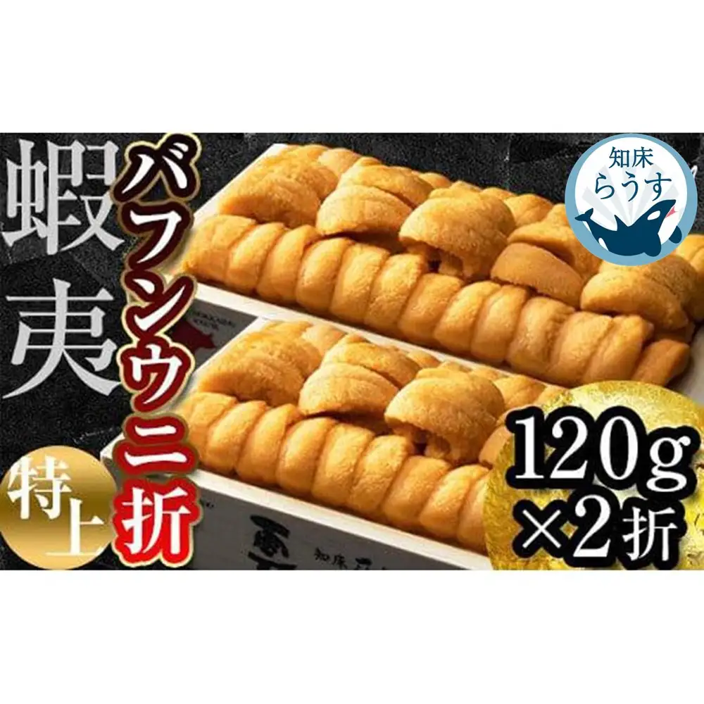 ＜先行受付＞＜27年1月～6月内発送＞エゾバフンウニ　折うに(特上)120×2枚｜ウニ　羅臼