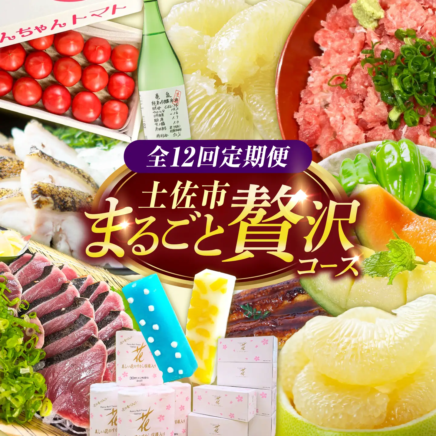 【全12回定期便】土佐市まるごと贅沢定期コース 高知県土佐市 【土佐市役所】 [BQCD015]