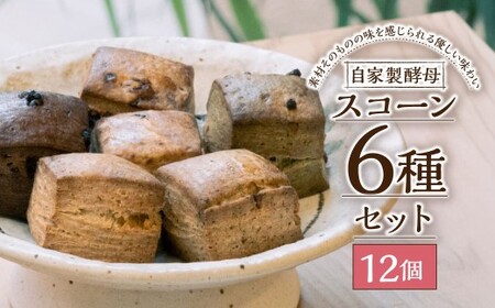 自家製酵母 スコーン セット 12個入り ／ お菓子 洋菓子 焼き菓子 ( チョコチップ 全粒粉 アールグレイとオレンジピール いちじくとホワイトチョコ ココアとピスタチオ 抹茶とホワイトチョコ ) 詰め合わせ 長崎
