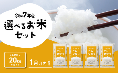 米  20kg 令和7年産 コシヒカリ 1月発送