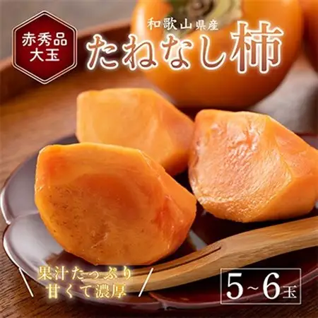 先行受付!　柿　種無し　赤秀品　超大玉　5～6個　こだわり農家厳選!【配送不可地域：離島】【1543604】