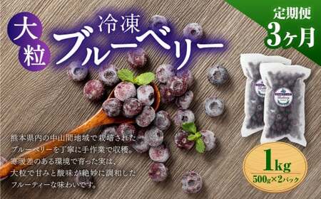 【3か月連続定期便】 熊本県産 大粒 冷凍ブルーベリー 1kg（500g×2パック）×3回 合計3kg  フルーツ 果物 くだもの 冷凍 ブルーベリー 国産