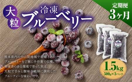 【3か月連続定期便】 熊本県産 大粒 冷凍ブルーベリー 1.5kg（500g×3パック）×3回 合計4.5kg  フルーツ 果物 くだもの 冷凍 ブルーベリー 国産