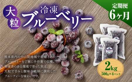 【6か月連続定期便】 熊本県産 大粒 冷凍ブルーベリー 2kg（500g×4パック）×6回 合計12kg  フルーツ 果物 くだもの 冷凍 ブルーベリー 国産