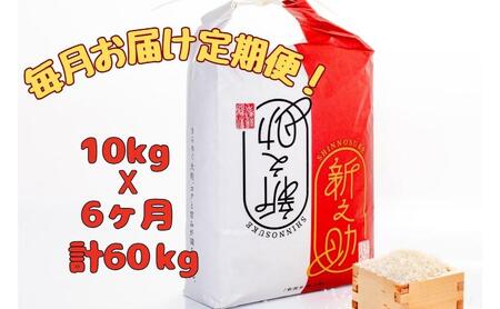【通年受付】令和7年産魚沼産新之助　精米10kg（5kgx2袋）全6回 十日町市 十日町 米