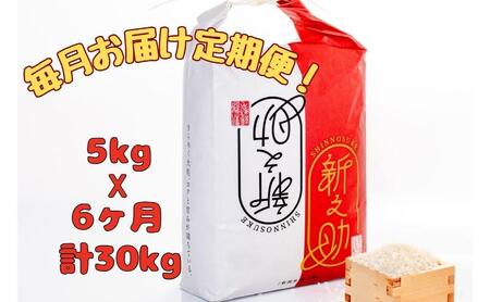 【通年受付】令和7年産魚沼産新之助　精米5kg　全6回 十日町市 十日町 米