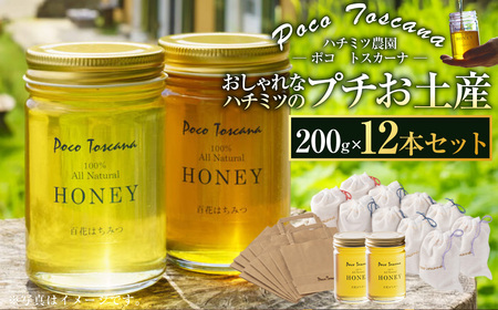 おしゃれなハチミツのプチお土産 200g瓶×12本セット 合計2.4kg ／ 蜂蜜 はちみつ 非加熱 国産 非常食 長期保存 長崎県 長崎市