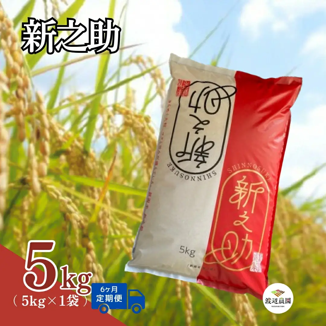 【令和8年先行予約】〈6回定期便〉新之助 5kg | 新潟県 新之助