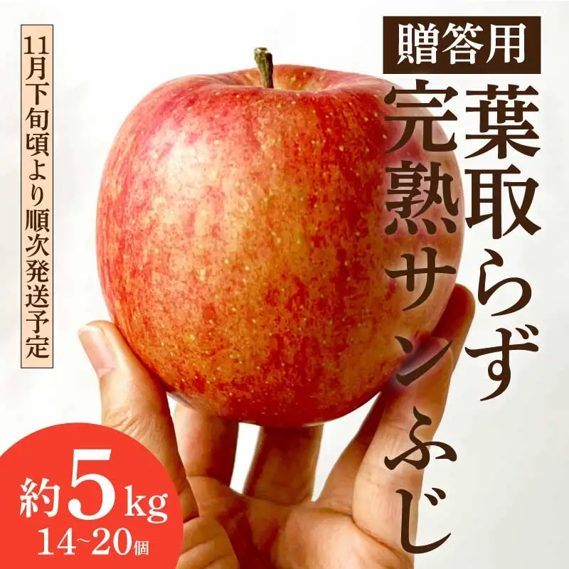 贈答用 完熟 りんご 5㎏ サンふじ 葉取らず