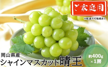 ぶどう 2026年 先行予約 ぶどう ご家庭用 シャインマスカット 晴王 約400g×1房 岡山県産 シャインマスカット