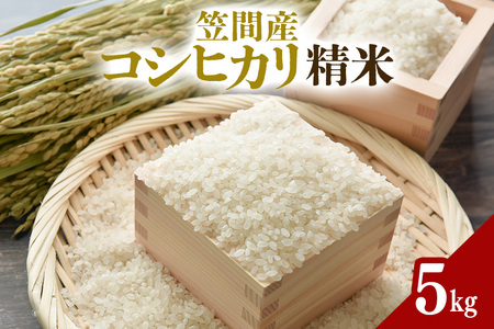 令和7年度 笠間産 コシヒカリ 5kg 精米 CU-008