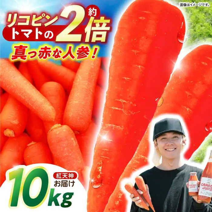 ※【2027年1月上旬より順次発送／先行予約】真っ赤なにんじん「紅天神」10kg AHCU002 にんじん