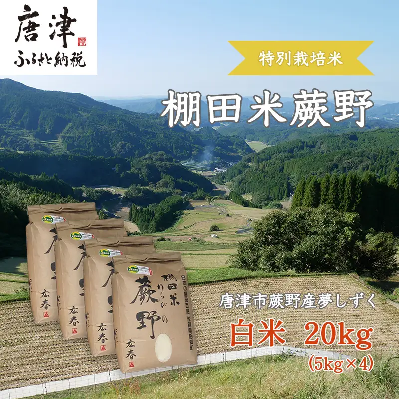 『先行予約』【令和8年産新米】特別栽培棚田米「蕨野」5kg×４袋(合計20kg) 家庭排水が一切入らない自然水で作られたお米 10日に1回精米で新米のような味わい