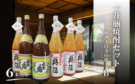 白玉の露・梅酒（一升瓶）６本セットB 4080-2　