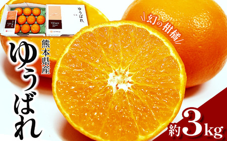 みかん ゆうばれ 約3kg