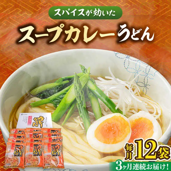 【全3回定期便】スープカレーうどん 12食 VAI071 カレーうどん