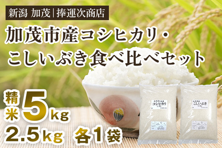 【令和6年産米】加茂市七谷産コシヒカリ・加茂市産こしいぶき（精米）食べ比べ 合計5kg（各2.5kg）白米 加茂市 捧運次商店