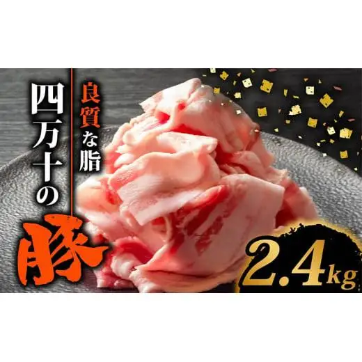 【 豚こま 】 豚肉 豚こま 2.4kg