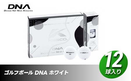 ゴルフボール DNA【ホワイト】1ダース 2ピースボール 高反発 高弾性 中高弾道 超反発 kasco キャスコ｜ゴルフボール