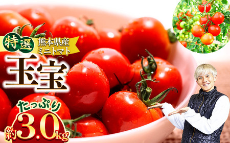 ミニトマト「玉宝」3kg