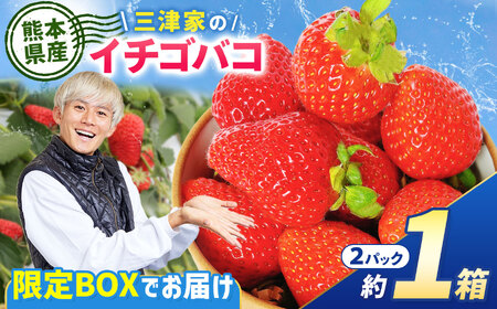 いちご「ゆうべに」 500g｜三津家のイチゴバコ